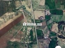 Ferme de 5 hectares titré - Terrain à vendre - Fes