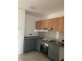 appartement-vide-ensoleille-small-2