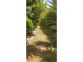 villas-de-luxe-a-louer-a-ain-diab-4-pieces-confortables-garage-et-terrasse-small-8