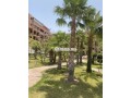 appartement-lhivernage-small-9