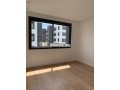 appartement-vide-ensoleille-small-4