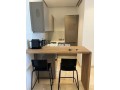 a-louer-tres-joli-studio-meuble-au-princesses-small-4