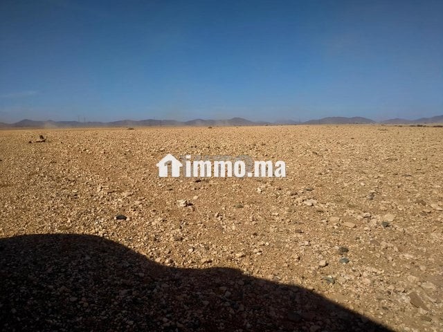 Terrain tité 6km Marrakech bon afir - Vente Immobilier - Marrakech - photo 1