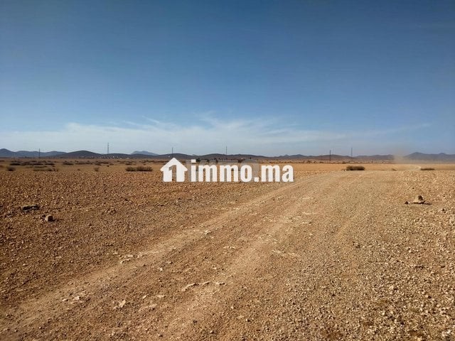 Terrain tité 6km Marrakech bon afir - Vente Immobilier - Marrakech - photo 4