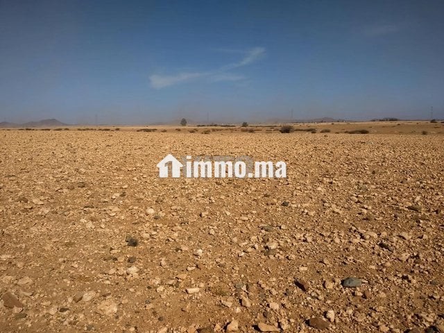 Terrain tité 6km Marrakech bon afir - Vente Immobilier - Marrakech - photo 5