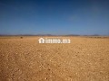 terrain-tite-6km-marrakech-bon-afir-small-1