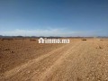 terrain-tite-6km-marrakech-bon-afir-small-3