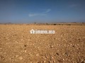 terrain-tite-6km-marrakech-bon-afir-small-4