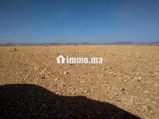 terrain-tite-6km-marrakech-bon-afir