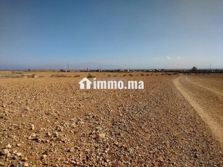 Terrain tité 6km Marrakech bon afir - Terrain à vendre - Marrakech
