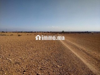 Terrain tité 6km Marrakech bon afir - Terrain à vendre - Marrakech