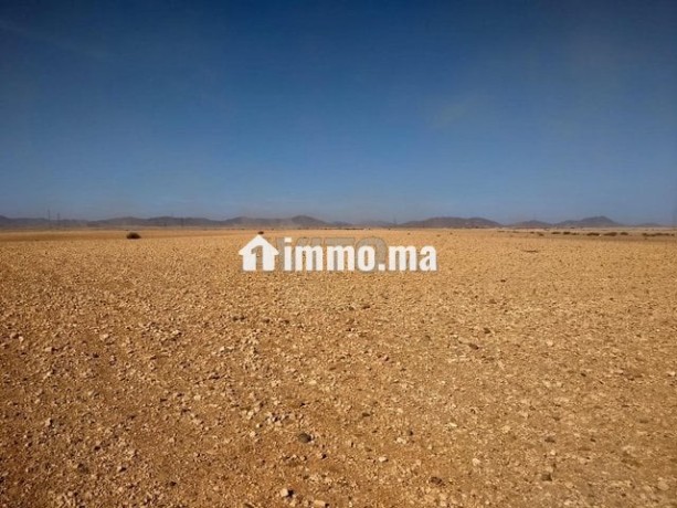 terrain-tite-6km-marrakech-bon-afir-big-1