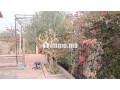 petite-villa-marrakech-small-5
