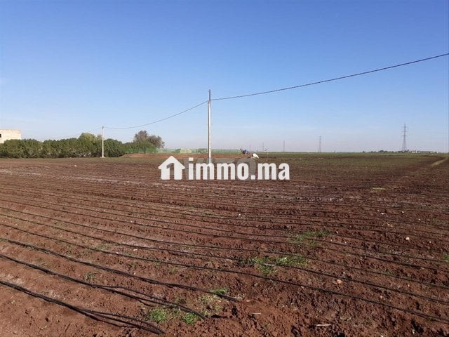 بقعة أرضية فلاحية - Vente Immobilier - Berrechid - photo 1