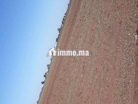بقعة أرضية فلاحية - Terrain à vendre - Berrechid