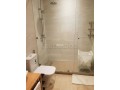 excellent-etat-appart-meuble-av-terrasse-de-20m2-small-3