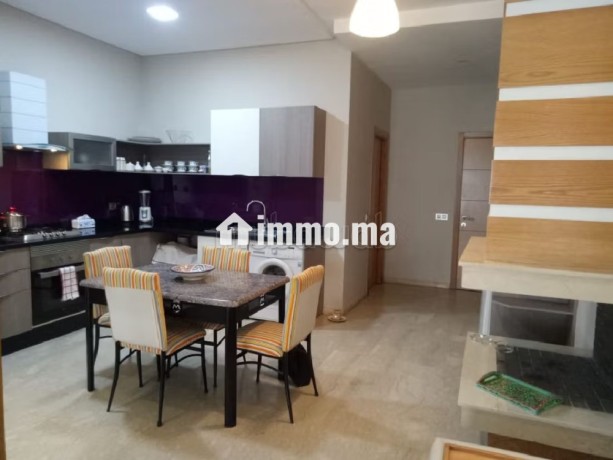 excellent-etat-appart-meuble-av-terrasse-de-20m2-big-4