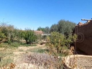 Terrain 1000m2 melkia route de fes 20 mn de marrak - Terrain à vendre