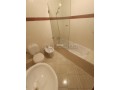 appartement-de-80-m-q-racine-small-17