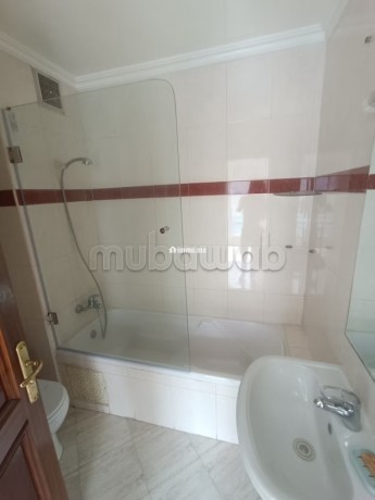 appartement-de-80-m-q-racine-big-11
