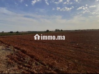 Terrain agricole 1,8 hectares – Oued Cherrat - Terrain à vendre