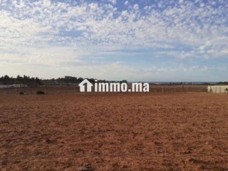 Terrain agricole 1,8 hectares – Oued Cherrat - Terrain à vendre