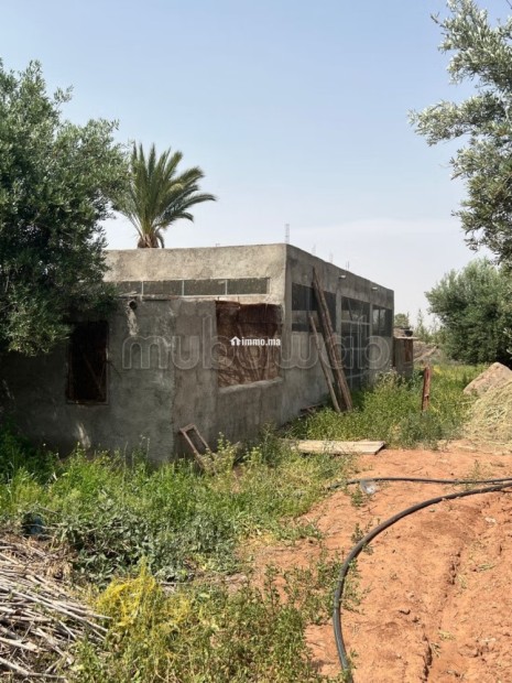 Ferme 2 hectares à vendre route de Fès Marrakech - Vente Immobilier - Marrakech - photo 4