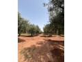 ferme-2-hectares-a-vendre-route-de-fes-marrakech-small-4