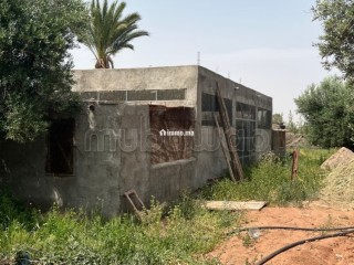 Ferme 2 hectares à vendre route de Fès Marrakech - Maison à vendre - Marrakech