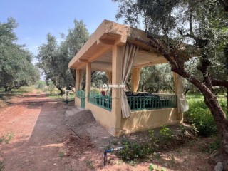 Ferme 2 hectares à vendre route de Fès Marrakech - Maison à vendre - Marrakech