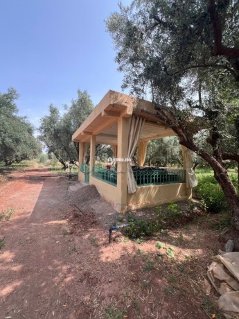 ferme-2-hectares-a-vendre-route-de-fes-marrakech-big-5