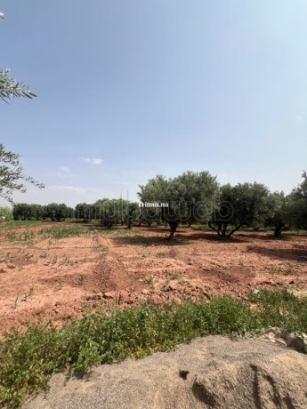 ferme-2-hectares-a-vendre-route-de-fes-marrakech-big-6