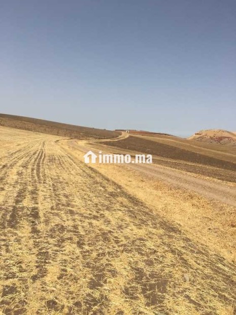 Terrains agricoles à vendre - Vente Immobilier - Casablanca - photo 1