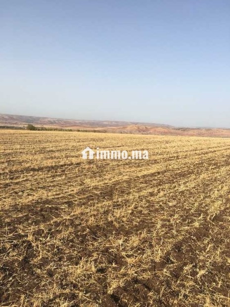 Terrains agricoles à vendre - Vente Immobilier - Casablanca - photo 2