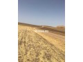 terrains-agricoles-a-vendre-small-0
