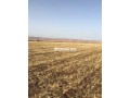 terrains-agricoles-a-vendre-small-1