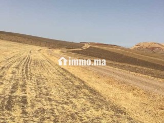 terrains-agricoles-a-vendre