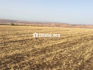 Terrains agricoles à vendre - Terrain à vendre - Casablanca