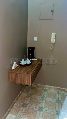 appartement-spacieux-calme-et-bien-equipe-big-16