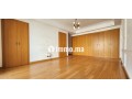 bel-appart-avec-terrasses-plein-gauthier-vue-degag-small-10