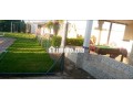 maison-espace-vert-et-piscine-privee-small-1