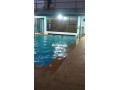 maison-espace-vert-et-piscine-privee-small-4