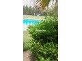 maison-espace-vert-et-piscine-privee-small-5