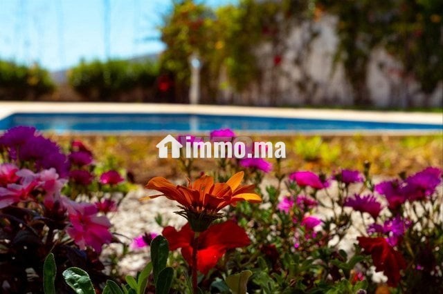 villa-avec-piscine-privee-big-10