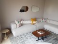 studio-meuble-a-la-location-a-racine-small-4