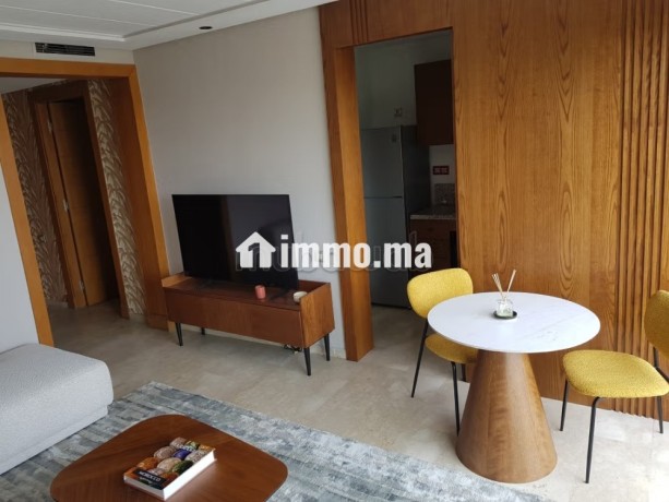 studio-meuble-a-la-location-a-racine-big-7