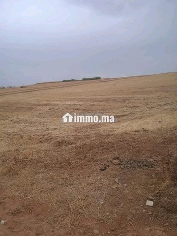 4 هكتار فلاحية محفظة همزة - Vente Immobilier - Larache - photo 7