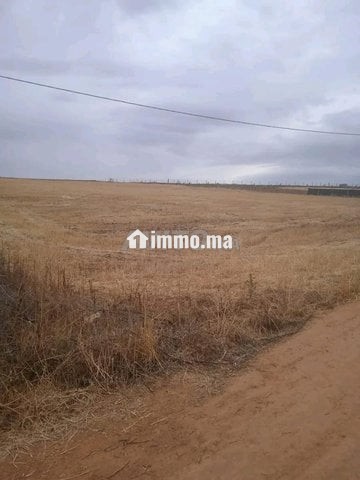 4 هكتار فلاحية محفظة همزة - Vente Immobilier - Larache - photo 8