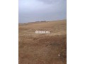 4-hktar-flahy-mhfth-hmz-small-6
