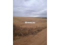 4-hktar-flahy-mhfth-hmz-small-7